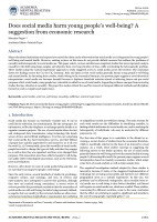 Does social media harm young people’s well-being? A suggestion from economic research